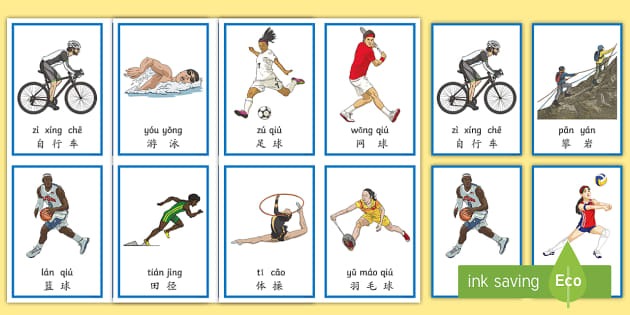 成都客战首尔：成都全主力出战，林加德首发，韦世豪替补